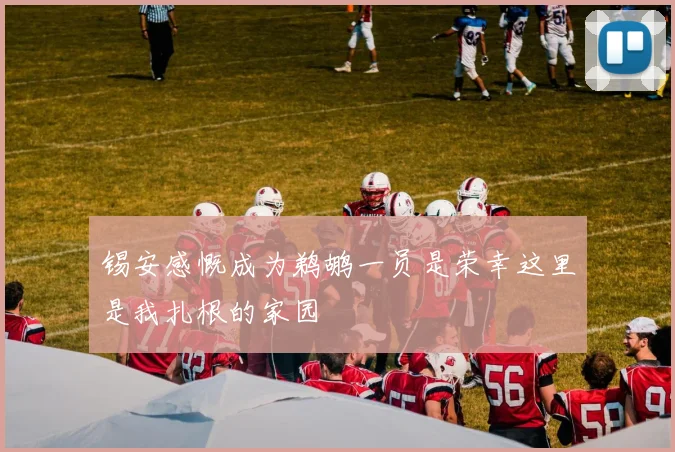 锡安感慨成为鹈鹕一员是荣幸这里是我扎根的家园