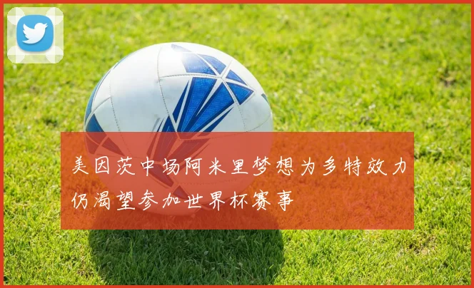 美因茨中场阿米里梦想为多特效力仍渴望参加世界杯赛事